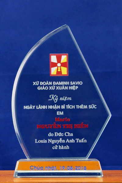 Kỷ niệm chương cánh buồm KNC_CB_C