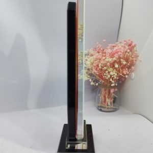 Kỷ niệm chương Tảng Đá 2 lớp - TĐA2 - Ảnh 4