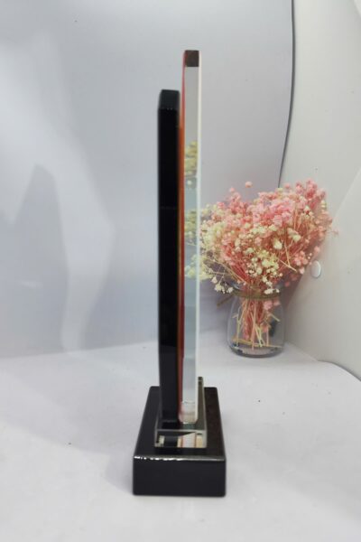 Kỷ niệm chương Tảng Đá 2 lớp - TĐ2 - Image 4