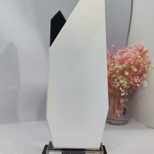Kỷ niệm chương Tảng Đá 2 lớp - TĐA2 - Ảnh 5