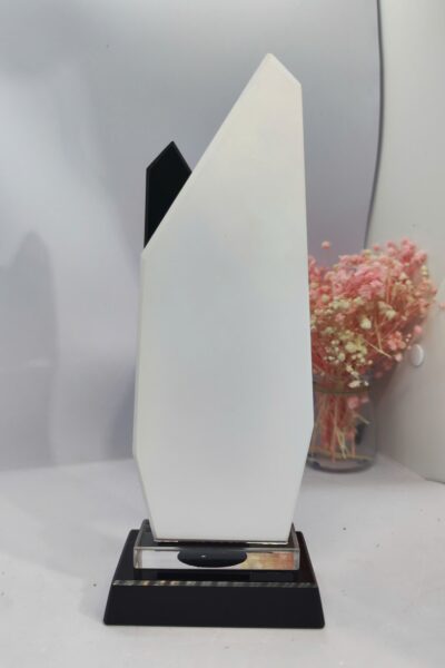 Kỷ niệm chương Tảng Đá 2 lớp - TĐ2 - Image 5