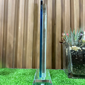 Kỷ niệm chương Xéo 2 lớp 5 - 2L5 - Ảnh 4